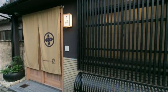 Hosta Toji San - 26