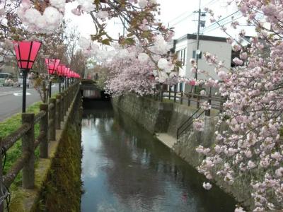 Plaza Fujinoi - 14