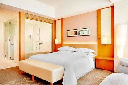 Sheraton Grand Hiroshima - 50