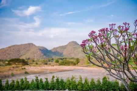 Hua Hin Lae i Aoon - 14