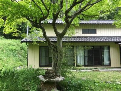 Anzuan Nishida - 22