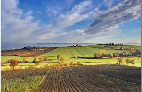 Tenuta Badia '99 - 19