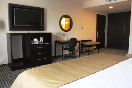Holiday Inn Mexico Santa Fe, An Ihg - 16