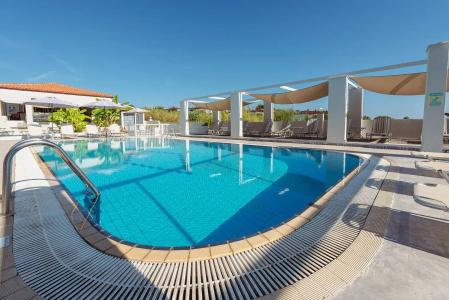 Ampelia Studios - 14