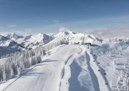 Barbarahof Saalbach - 7
