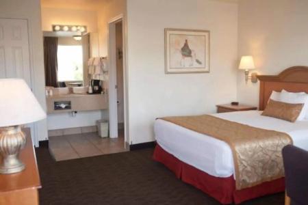 St. George Inn and Suites - 24