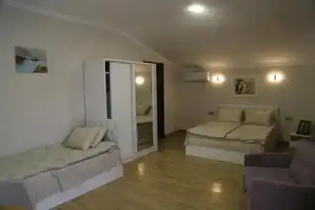 12 Tve - 2
