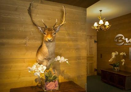 Bernerhof Grindelwald - 26