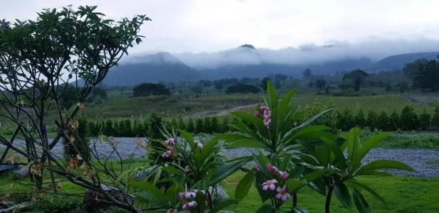 Hua Hin Lae i Aoon - 4