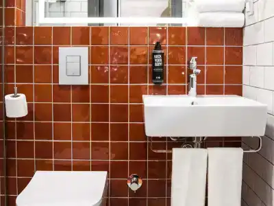 Ibis Styles Tbilisi Mziuri Park - 8