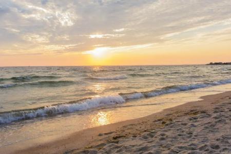 Sea Crest Beach - 14