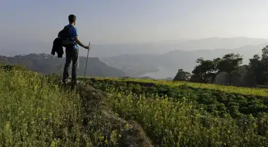 Sarangkot Sherpa P ltd - 1