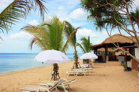 Peace Paradise Beach - 12