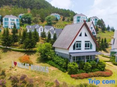 Dalat Wonder Resort - 175