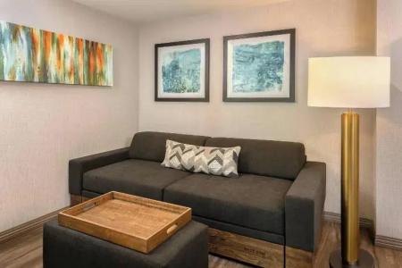SpringHill Suites by Marriott San Diego Carlsbad - 44