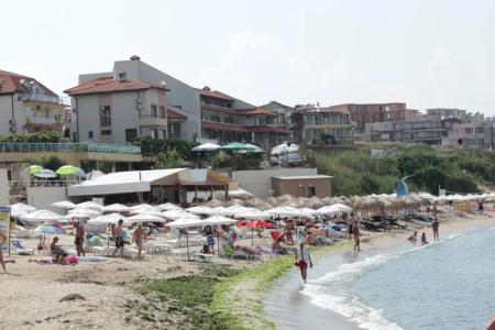 Barex Family - 15