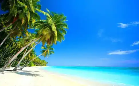 Beach Villa Ukulhas - 24