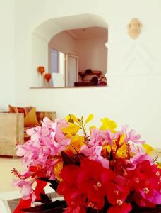 Dar Mezraya Jerba - 4