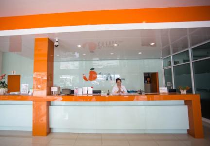 The Original Orange - 12