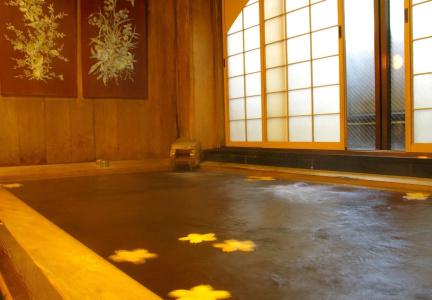 Seikoro Ryokan - Established in 1831 - 16