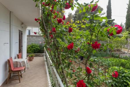 Villa Anka - 229