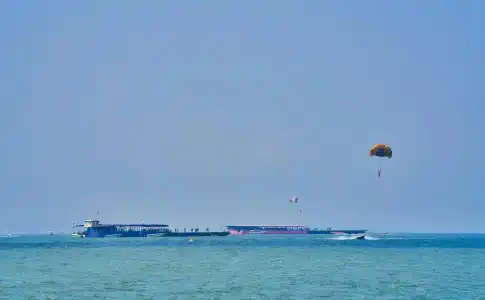 Floral · Dolphin Circle Pattaya - 37