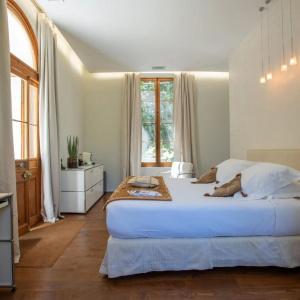 Château Des Alpilles - 39