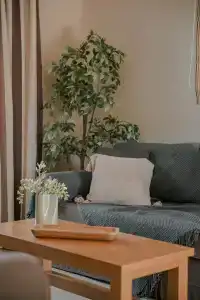 Daluz Boutique - 236