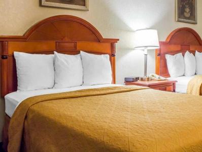 Quality Inn - Airport - 34