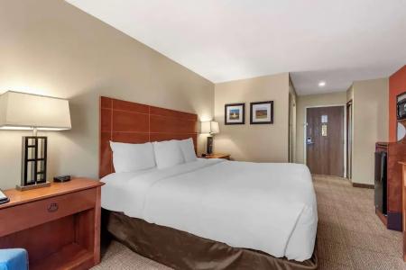 Comfort Inn Civic Center - 58