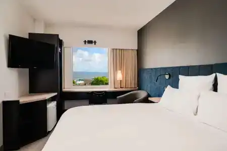 ibis - 47