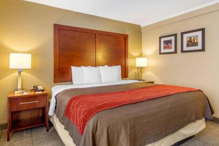 Comfort Inn Denver Central - 46