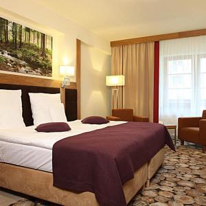 Mercure Krynica Zdrój Resort&Spa - 36