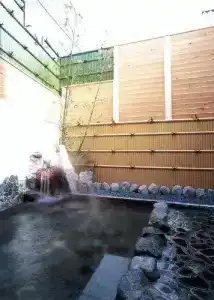 Sengoku - 2