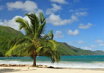Paradiso del Caribe - 82