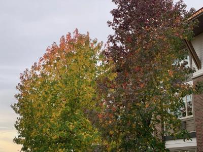 Elk Lake Inn & Suites - 24