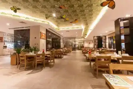 Chimelong - 18