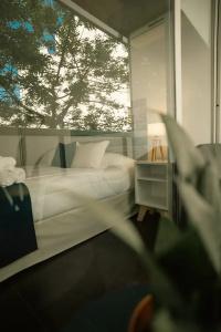 Sucre Suites - 245