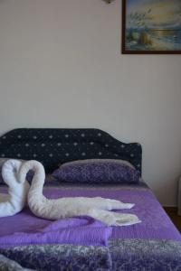 Guest House Vera - 5