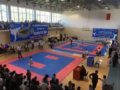 Тулпар - 15
