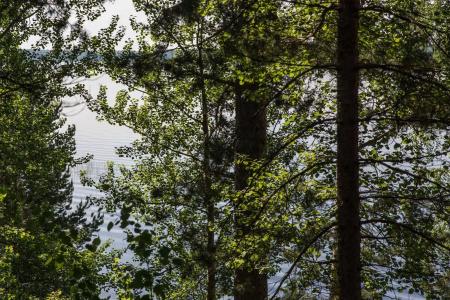 Kruunupuisto - 39