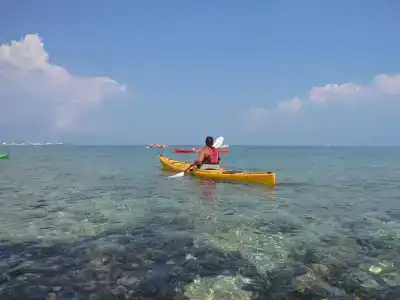 Oasis Beach - 33
