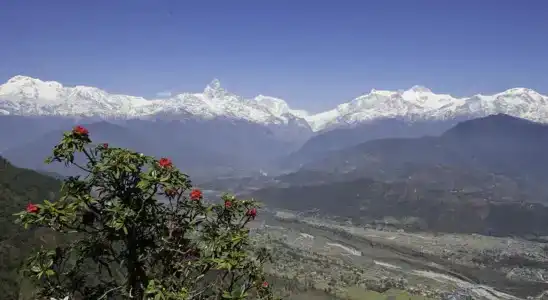 Sarangkot Sherpa P ltd - 6