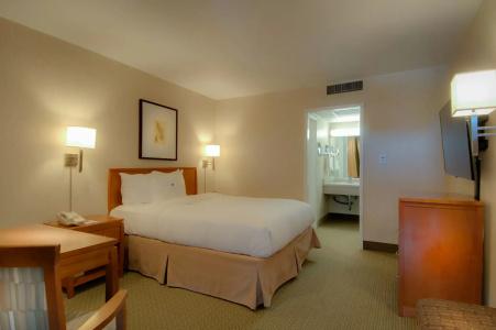 Vagabond Inn - 37