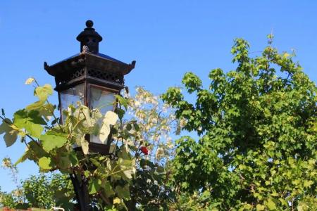 Guest House Shota - 12