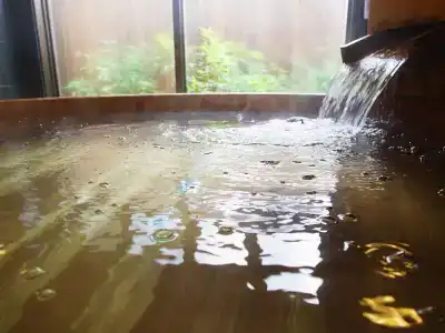 Resort Tateshina - 12