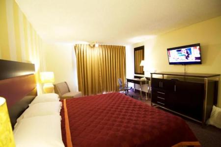 Royal Plaza Inn - 32