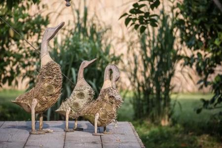 Glamping Canonici di San Marco - 97
