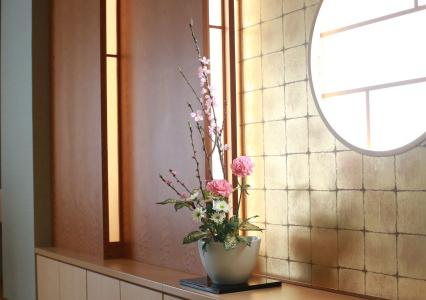 Shiragiku - 6