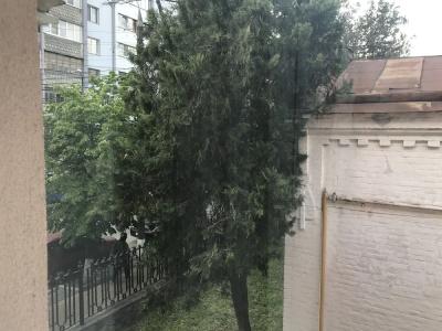 Аристократ - 44